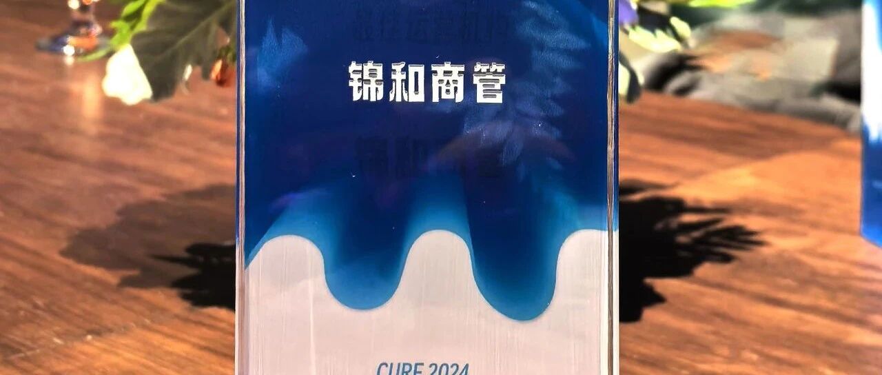锦和荣誉| 锦和商管荣获2024中国城市更新论坛&ldquo;最佳运营机构&rdquo;，引领城市更新商用物业新篇章