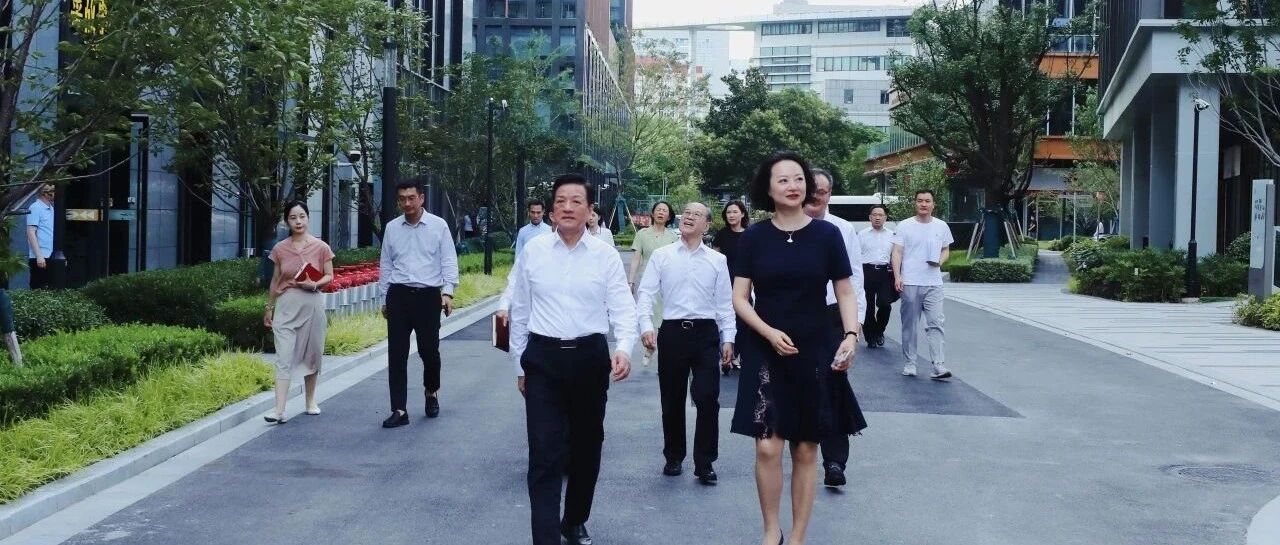 市政协领导一行莅临锦和集团考察调研，共商城市更新高质量发展